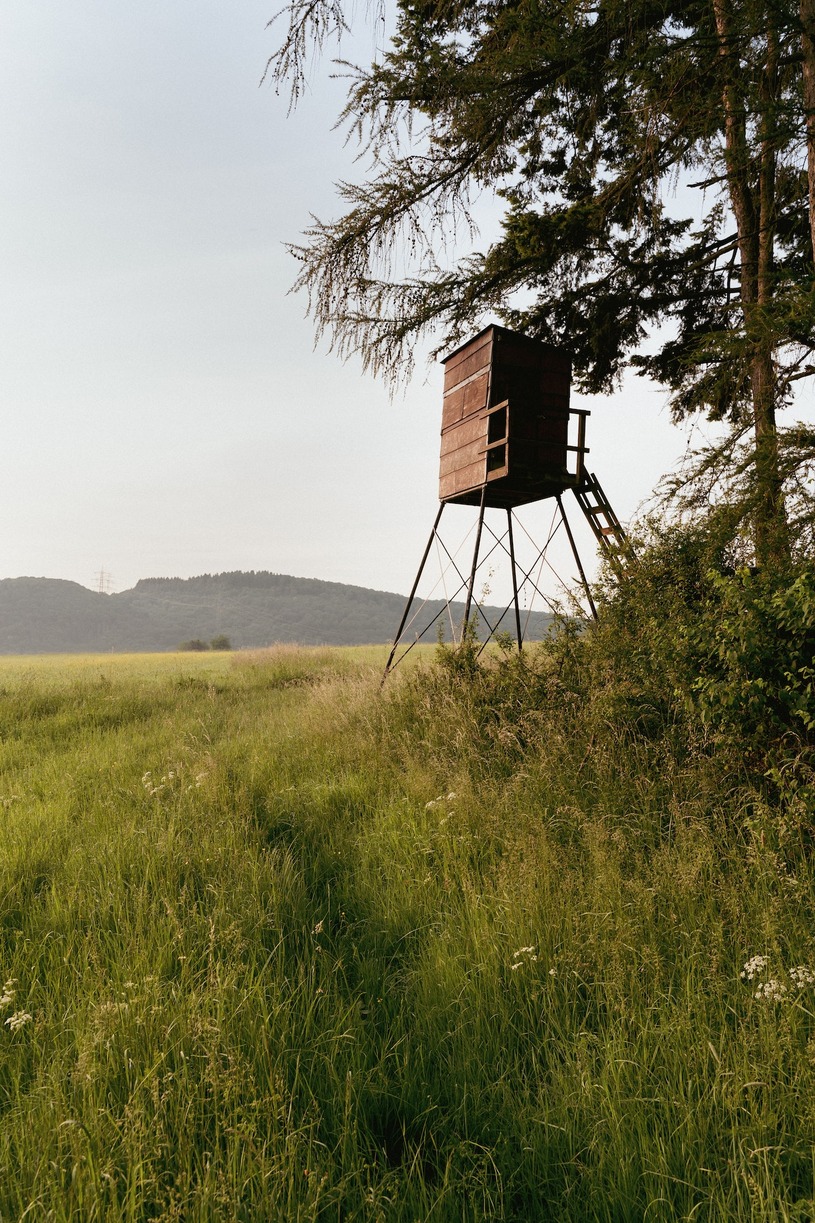 How to Build a Deer Stand A Hunter’s Guide