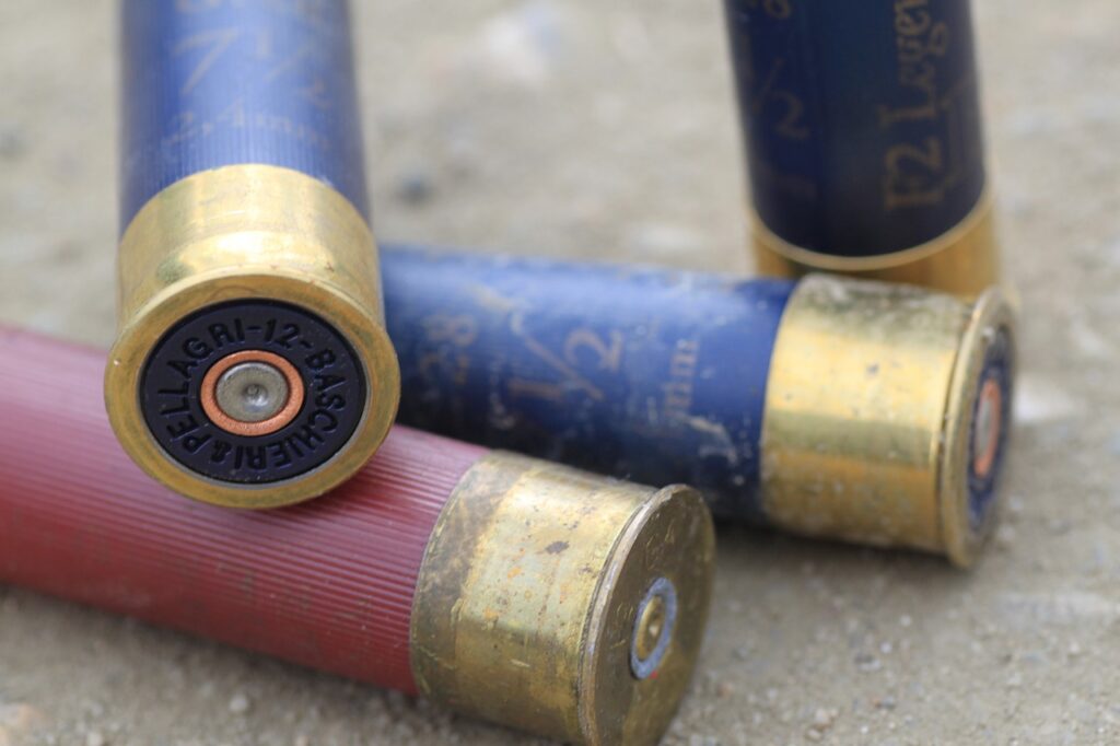 Duck Hunting Season Ohio: 2024 Dates, Locations, and Tips