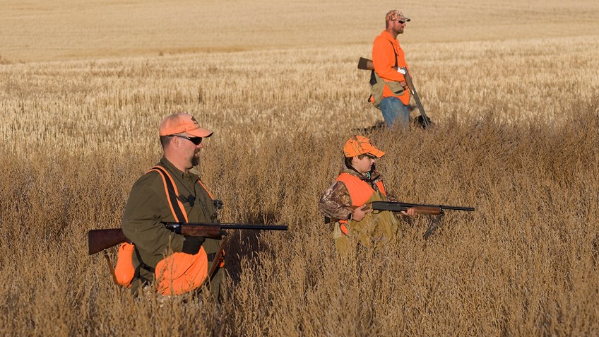 hunters in field wearing hunter orange