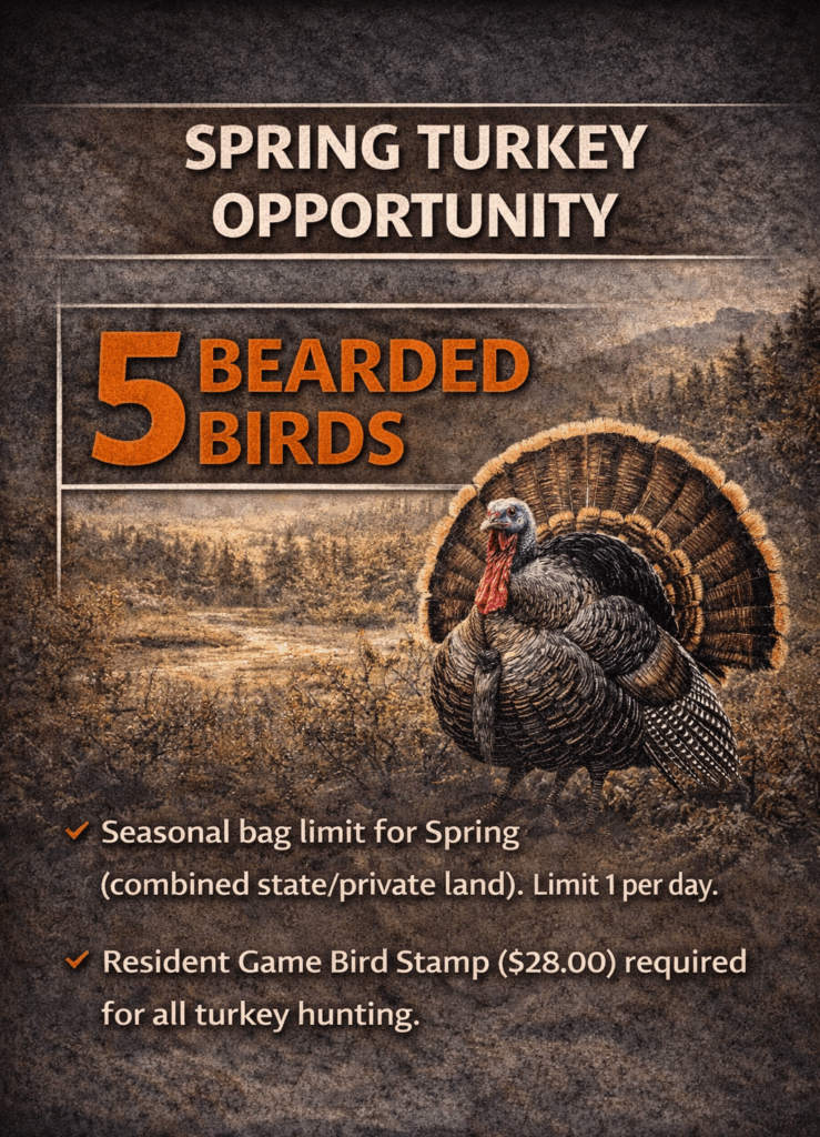 Turkey hunt