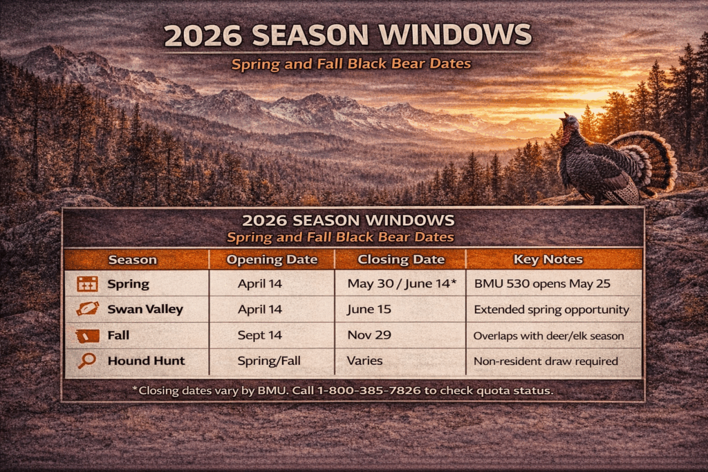 Montana black bear dates
