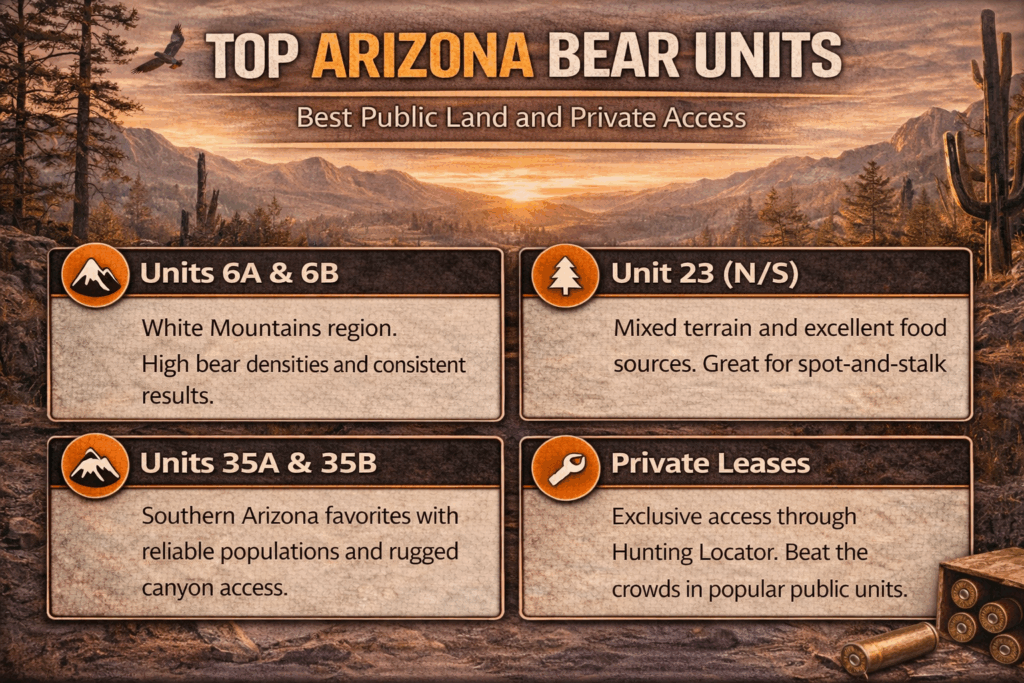 Arizona bear locations