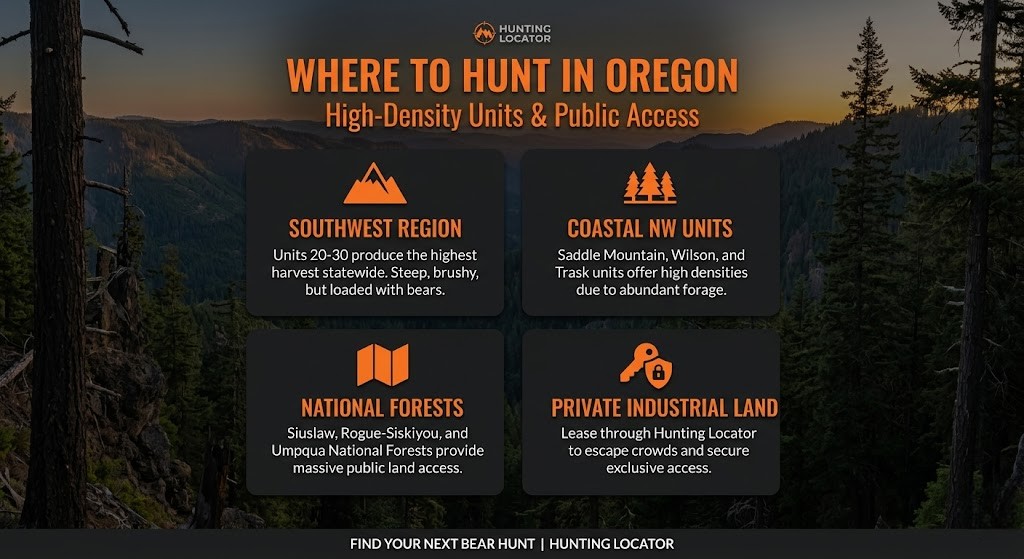 Oregon black bear