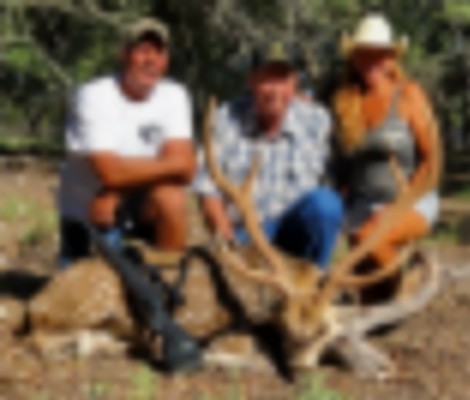 Exotic AXIS BUCK & DOE Day HUNTS in the Texas Hill Country images 1