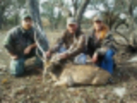 Exotic AXIS BUCK & DOE Day HUNTS in the Texas Hill Country images 4
