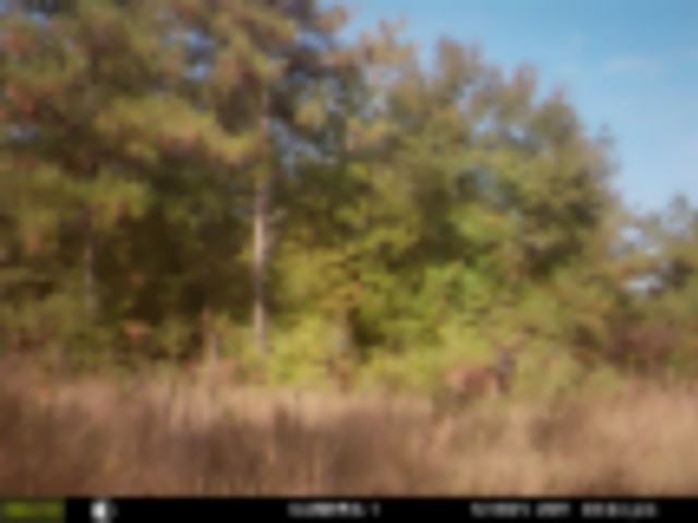 Deer lease in Hardin Co. Texas featured image