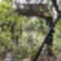 00k0k_goeIHXzhwUV_600x4501__resize-thumb