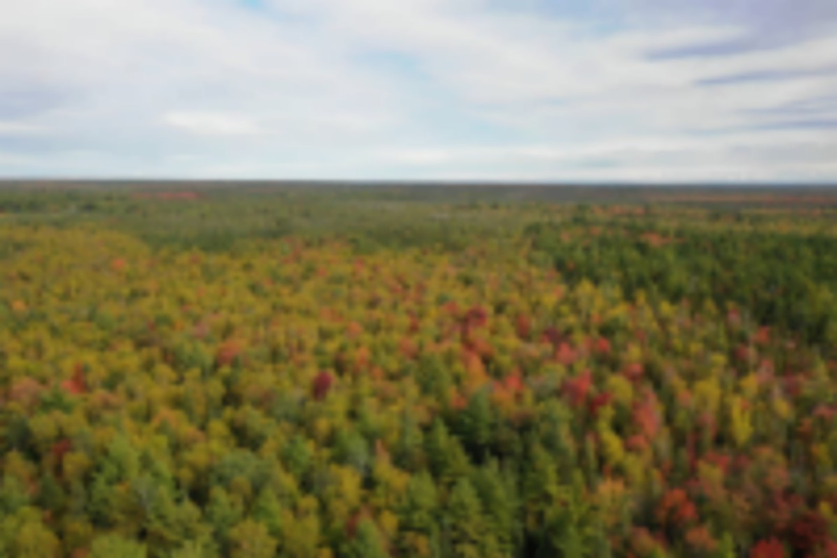 Around 300 ACRE executive Hunting Lease- Beside State Park Newberry, MI - $3 (Newberry,MI) images 5