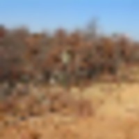 01010_e2nVGIUQZ44_600x4501__resize-thumb