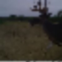 01140915__resize-thumb