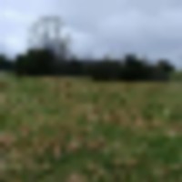 0405191822_hdr__resize-thumb