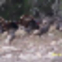 072__resize-thumb