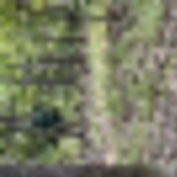 098bd0ea-1467-4230-8a02-22ba5e5e867a__resize-thumb
