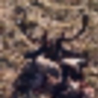 0a19fae7-a5e9-4e50-963e-b4a6b3aca32a__resize-thumb