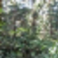 1-3769377285__resize-thumb
