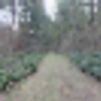 1-3817751433__resize-thumb