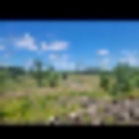 1000000303__resize-thumb