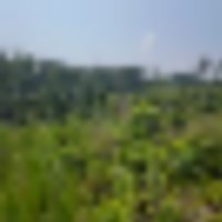 1000000307__resize-thumb