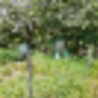 1000007801__resize-thumb