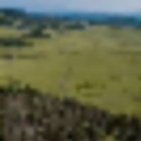 Saddle Mountain Ranch Guffey Colorado images 3