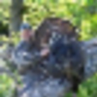 100_2276__resize-thumb