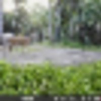 101689346_3368686706489200_2231840018328977408_n__resize-thumb