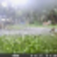 102873755_3384409194916951_4102144355598448294_n__resize-thumb