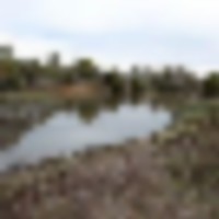 The Bluffs Ranch Lot 3 images 2