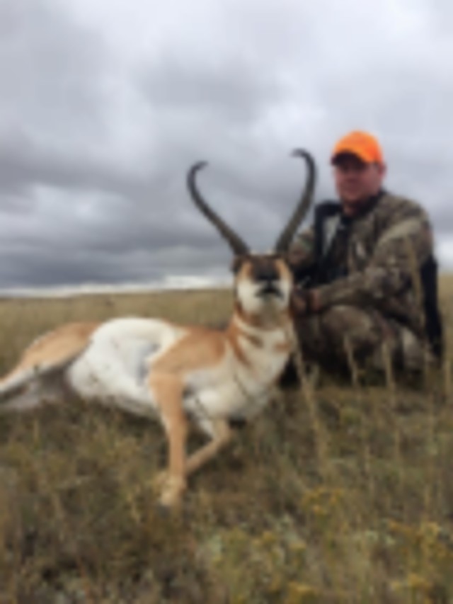 Discounted Guided Buck Antelope Hunt in Wyoming featured image