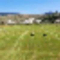 Phillips Creek Ranch images 4