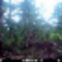 10_wide_1__resize-thumb