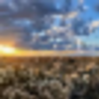 Ryman Canyon Overlook