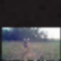 123_1__resize-thumb