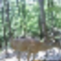 12_2_-_resized__resize-thumb