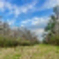 Recreational Lot for Sale in Brookhaven MS