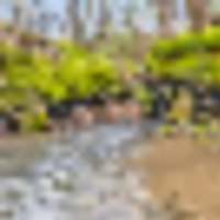 Excellent 58.23 acres of Hunting Recreational Property located in Sumner County Tennessee images 3