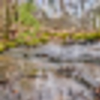 Excellent 58.23 acres of Hunting Recreational Property located in Sumner County Tennessee images 4