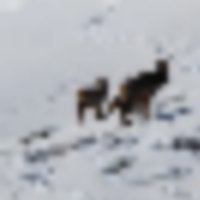 Lay Peak Ranch images 3