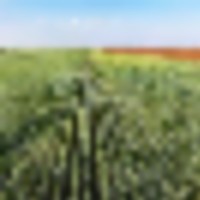 Dolores County Ranch