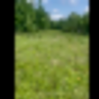 13d1160c-ba10-49c3-a443-2d539c81cc2e__resize-thumb