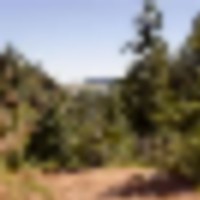 Palmer Lake Retreat images 1
