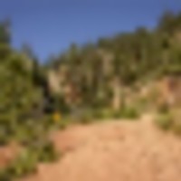 Palmer Lake Retreat images 2