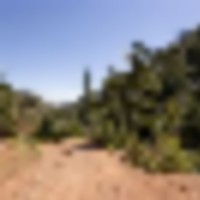 Palmer Lake Retreat images 3