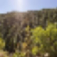 Palmer Lake Retreat images 5