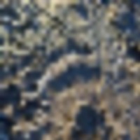 14291854_1694087507581160_925518895828693472_n__resize-thumb
