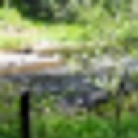 Pleasant Valley s Yampa River Ranch images 2