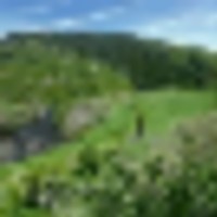 Pleasant Valley s Yampa River Ranch images 3