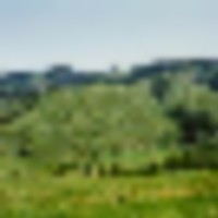 Pleasant Valley s Yampa River Ranch images 5