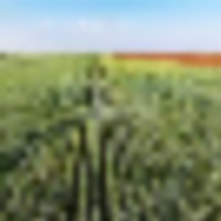 Dolores County Ranch