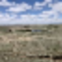 Stone Pointe Ranch Section 6 Quarter 1 images 3